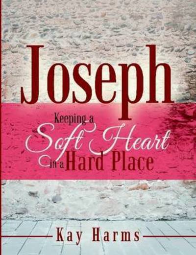 Cover for Kay Harms · Joseph - Keeping a Soft Heart in a Hard Place (Taschenbuch) (2015)