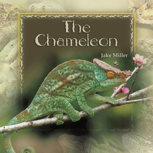 Cover for Jake Miller · The Chameleon (Pocketbok) (2005)