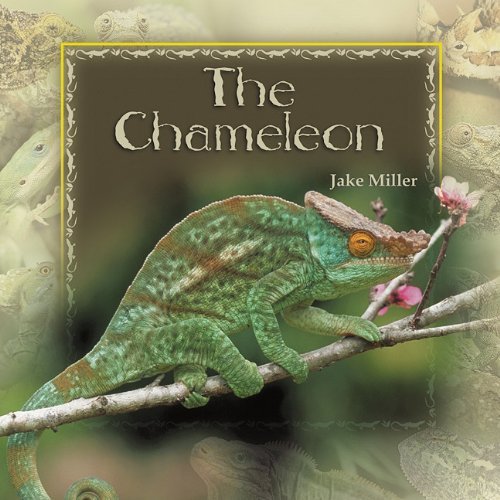 Cover for Jake Miller · The Chameleon (Paperback Bog) (2005)