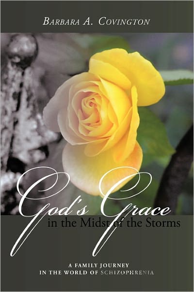 Cover for Barbara a Covington · God's Grace in the Midst of the Storms: a Family Journey in the World of Schizophrenia (Paperback Book) (2011)