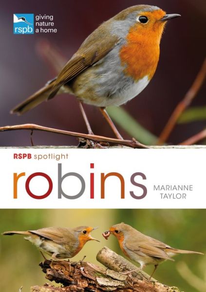 Cover for Marianne Taylor · RSPB Spotlight: Robins - RSPB (Paperback Book) (2019)