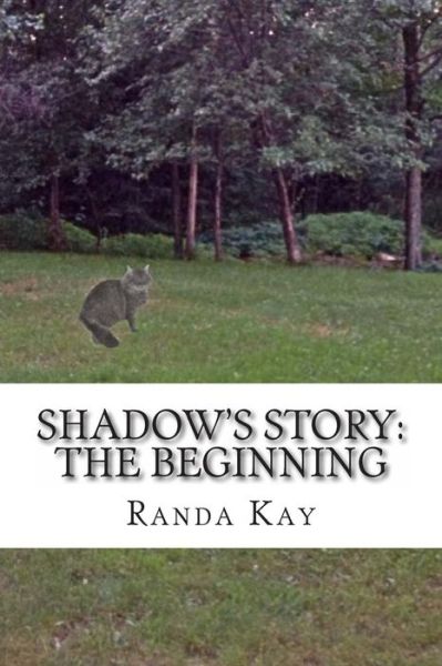 Cover for Randa Kay · Shadow's Story: the Beginning (Paperback Book) (2013)