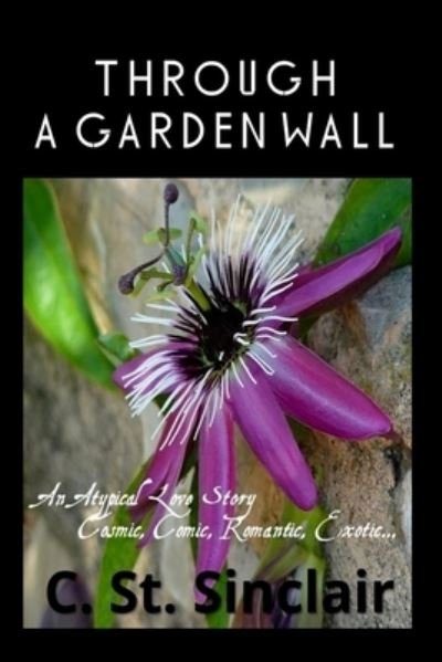 Cover for C St Sinclair · Through A Garden Wall (Paperback Book) (2016)