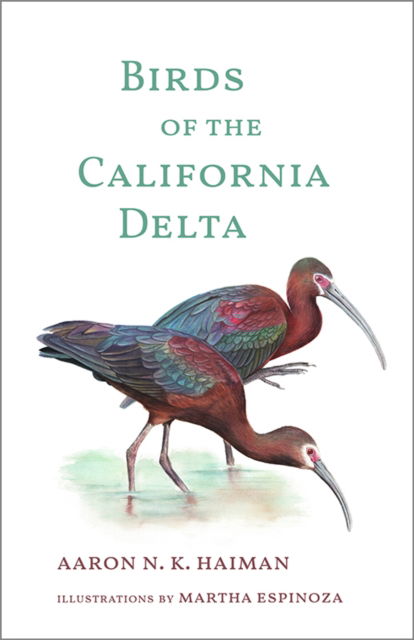 Cover for Aaron N.K. Haiman · Birds of the California Delta (Hardcover Book) (2025)