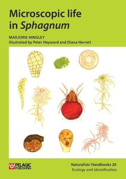 Cover for Marjorie Hingley · Microscopic life in Sphagnum - Naturalists' Handbooks (Paperback Book) (2021)