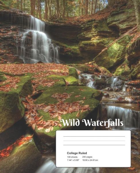 Cover for Tambra Sabatini · Wild Waterfalls (Paperback Book) (2018)