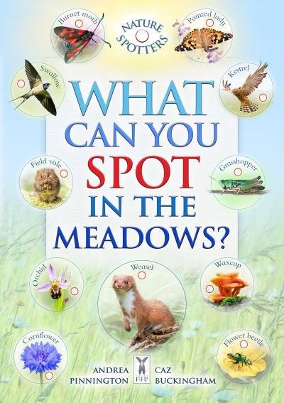 Cover for Caz Buckingham · What Can You Spot in the Meadows? (Pocketbok) (2023)
