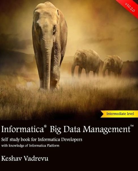Cover for Keshav Vadrevu · Informatica Big Data Management (Pocketbok) (2018)