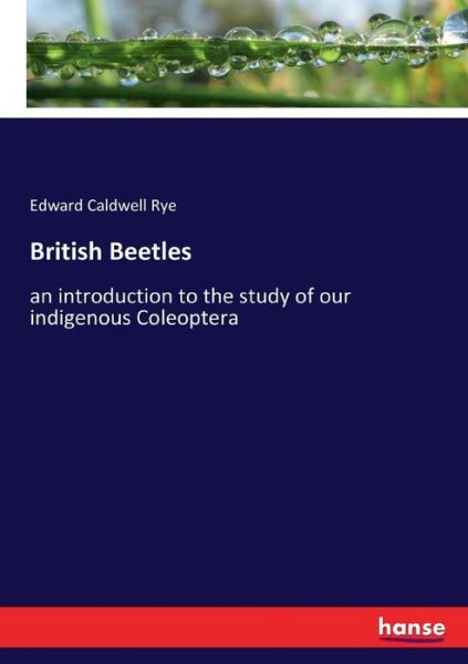 Cover for Rye · British Beetles (Buch) (2017)