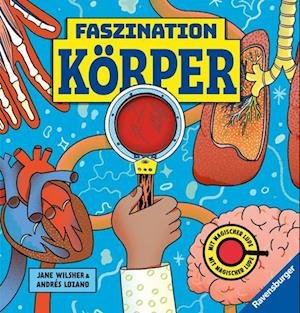 Cover for Jane Wilsher · Faszination Köper - Körpersachbuch für Kinder ab 7 Jahren mit magischer Lupe (Bok) (2024)