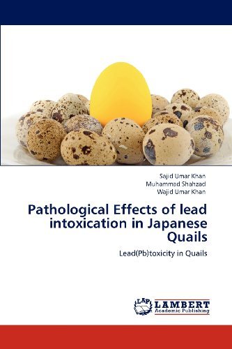 Cover for Wajid Umar Khan · Pathological Effects of Lead Intoxication in Japanese Quails: Lead (Pb)toxicity in Quails (Paperback Book) (2012)