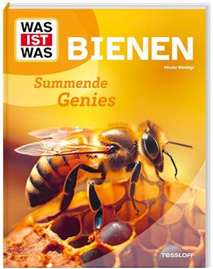 Cover for Nicole Röndigs · WAS IST WAS Bienen. Summende Genies (Book) (2024)