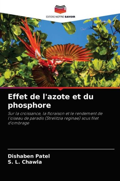 Cover for Dishaben Patel · Effet de l'azote et du phosphore (Paperback Book) (2021)