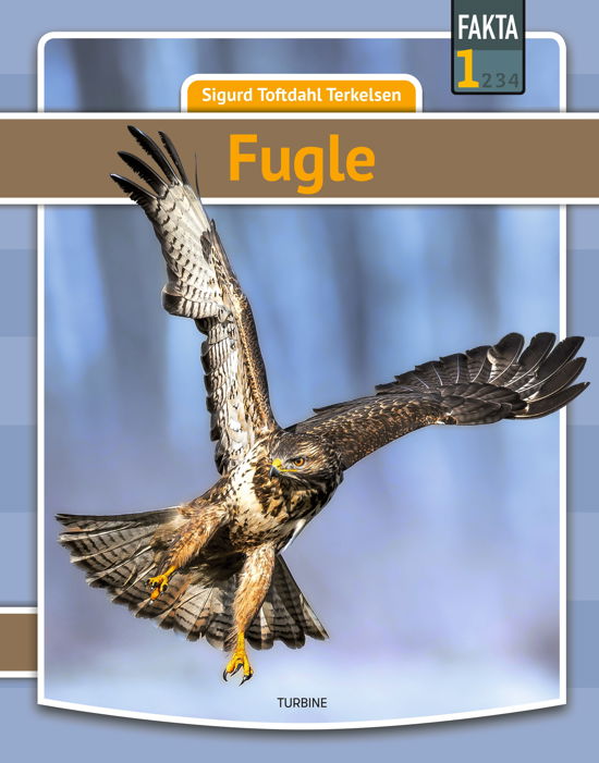 Cover for Sigurd Toftdahl Terkelsen · Fakta 1: Fugle (Hardcover Book) [1er édition] (2023)