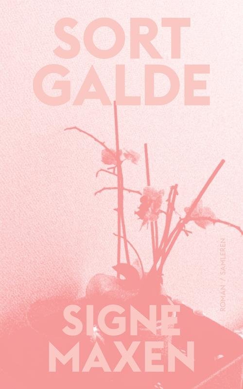 Cover for Signe Maxen · Sort galde (Sewn Spine Book) [1.º edición] (2017)