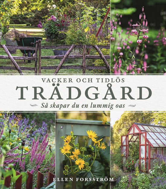 Cover for Ellen Forsström · Vacker och tidlös trädgård : Så skapar du en lummig oas (Bound Book) (2024)