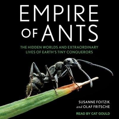 Cover for Olaf Fritsche · Empire of Ants (CD) (2021)