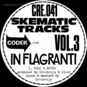 Cover for In Flagranti · Skematic Tracks Vol. 3 (12&quot;) (2012)