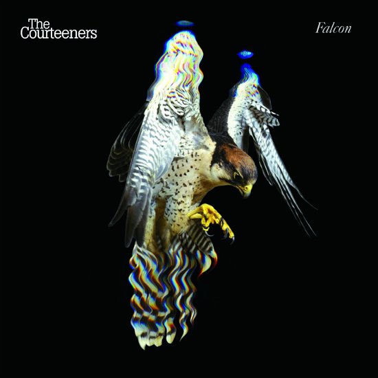 Falcon - The Courteeners - Muziek - Universal Music - 0602577305740 - 13 april 2019