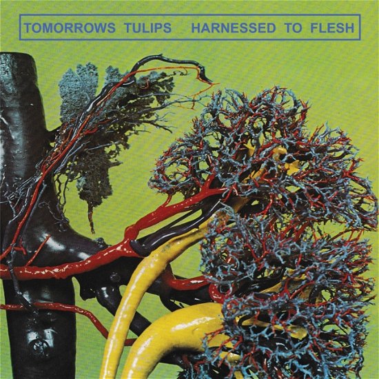 Cover for Tomorrows Tulips · Harnessed To Flesh (Kassett) (2018)