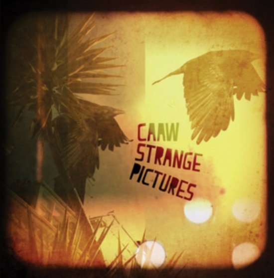 Strange Pictures - Caaw - Musiikki - PICA PICA - 0793591566740 - perjantai 25. lokakuuta 2019