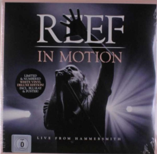 Cover for Reef · In Motion (Live from Hammersmith) (LP/Blu-ray) [Limited edition] (2019)