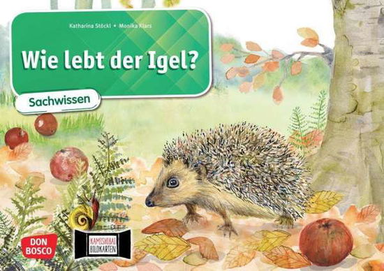 Cover for Stöckl-Bauer · Wie lebt der Igel? Kamishi (Buch)