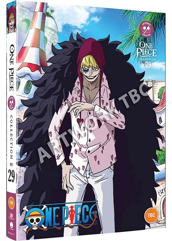 Cover for Anime · One Piece: Collection 29 (DVD) (2022)