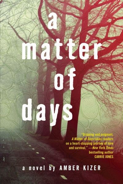 Cover for Amber Kizer · A Matter of Days (Bok) (2016)