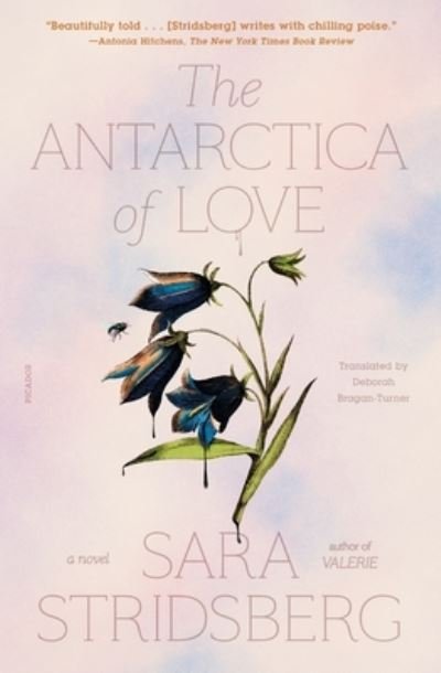 The Antarctica of Love - Sara Stridsberg - Bücher - Picador USA - 9781250858740 - 17. Januar 2023