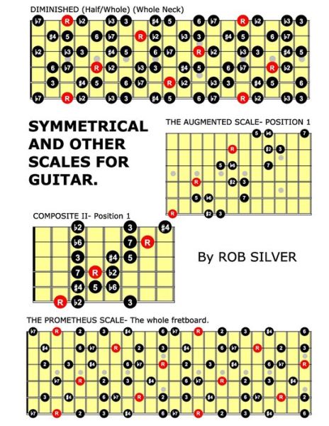 Cover for Rob Silver · Symmetrical and Other Scales for Guitar (Pocketbok) (2014)