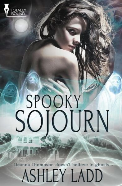 Cover for Ashley Ladd · Spooky Sojourn (Taschenbuch) (2014)