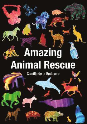 Cover for Camilla De La Bedoyere · Amazing Animal Rescue - Wow Facts (Pocketbok) (2022)