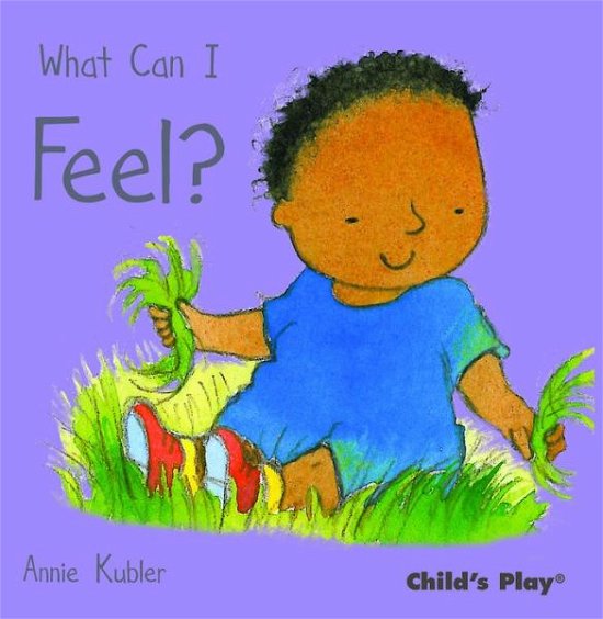Cover for Annie Kubler · What Can I Feel? - Small Senses (Board book) (2011)