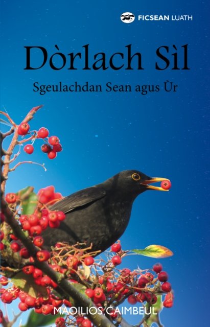 Cover for Myles Campbell · Dorlach Sil: Sgeulachdan Sean agus Ur (Paperback Bog) (2021)
