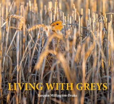 Cover for Tarquin Millington-Drake · Living with Greys: A celebration of the grey partridge (Hardcover Book) (2024)