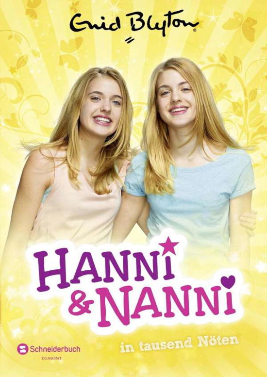 Cover for Blyton · Hanni und Nanni in tausend Nöten (Book)