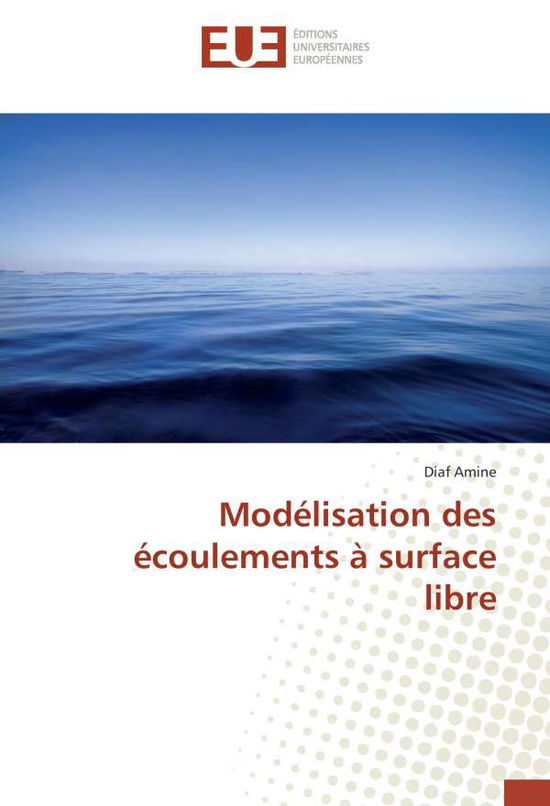 Cover for Amine · Modélisation des écoulements à su (Book)