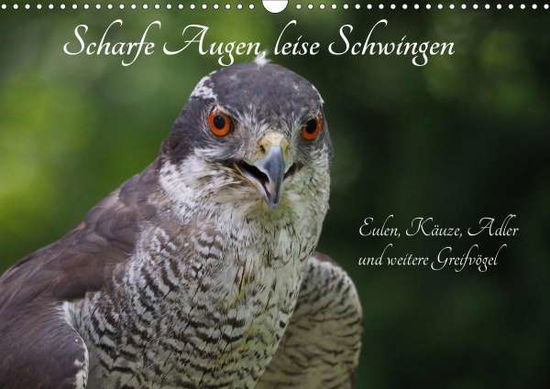 Cover for Sperling · Scharfe Augen, leise Schwingen (Buch)