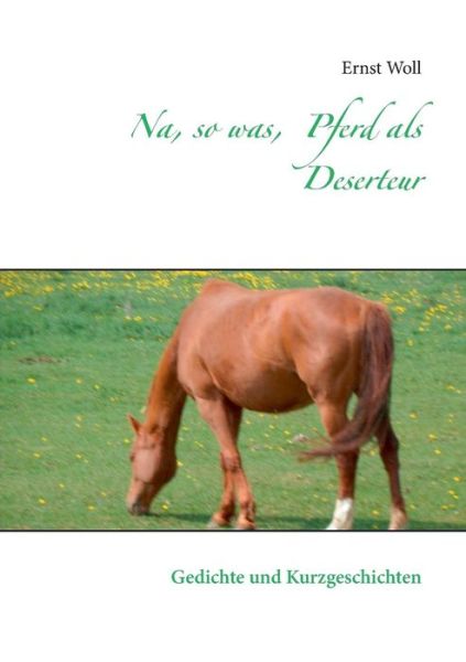 Cover for Ernst Woll · Na, So Was,  Pferd Als Deserteur (Paperback Book) [German edition] (2014)