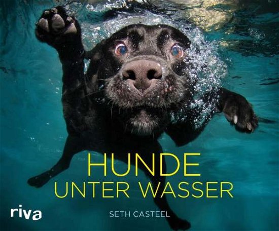 Cover for Casteel · Hunde unter Wasser (Bok)