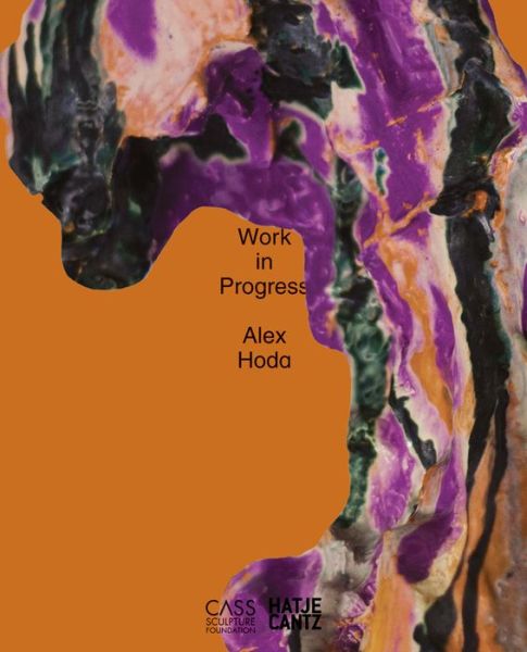 Cover for Flavia Frigeri · Alex Hoda: Work in Progress (Hardcover Book) (2015)