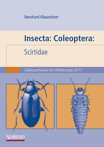 Insecta: Coleoptera: Scirtidae: Suwasserfauna von Mitteleuropa. Bd. 20/17 - Suwasserfauna von Mitteleuropa - Bernhard Klausnitzer - Books - Spektrum Akademischer Verlag - 9783827410740 - April 24, 2009