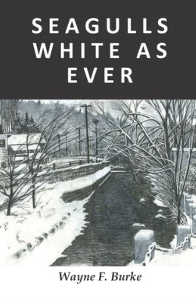 Cover for Amazon Digital Services LLC - KDP Print US · S E a G U L L S W H I T E a S E V E R (Paperback Book) (2022)
