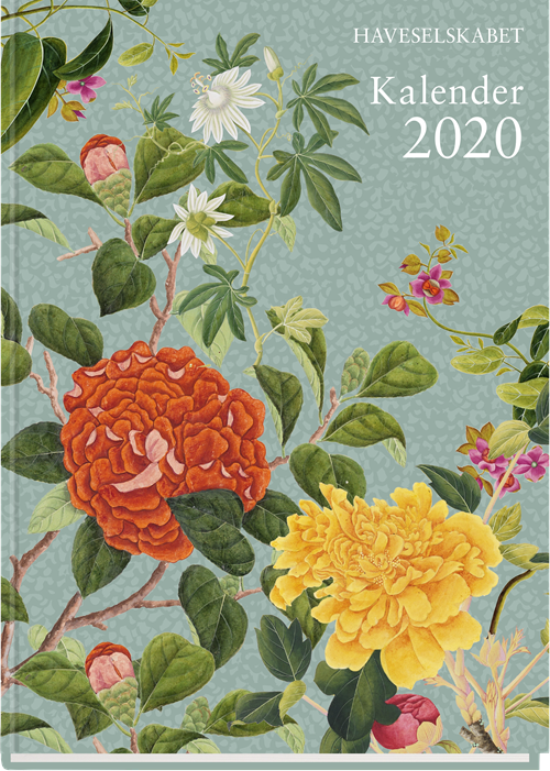 Cover for Ingen Forfatter · Haveselskabet Kalender 2020 (Calendar) [1. Painos] (2019)