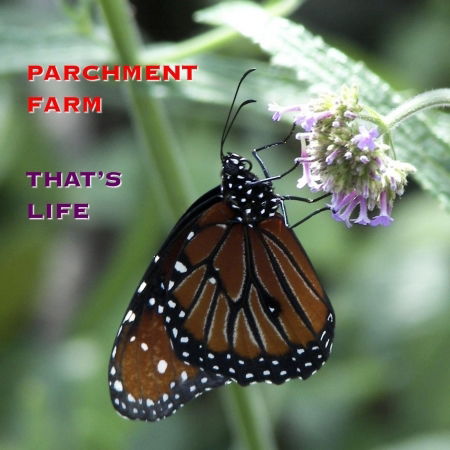 Cover for Parchment Farm · That's Life (CD) (2008)