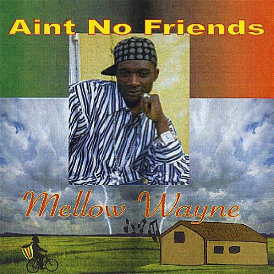 Ain't No Friends - Mellow Wayne - Music - John Q Records. Inc. - 0718122667741 - July 16, 2008