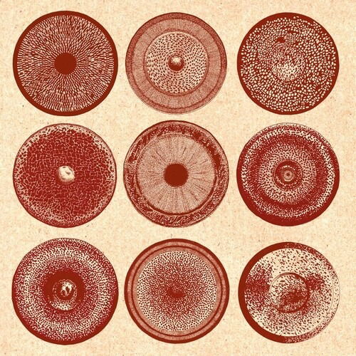 Cover for Ensemble Nist-Nah · Spilla (LP) (2025)