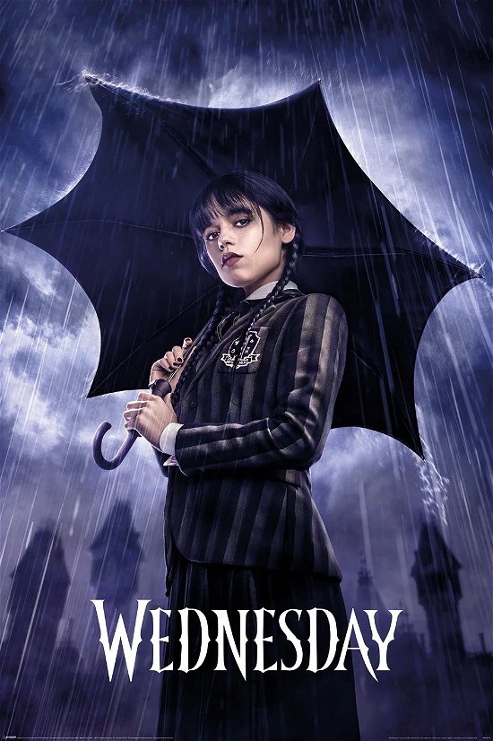 Cover for WEDNESDAY - Downpour - Poster 61x91cm (Spielzeug)