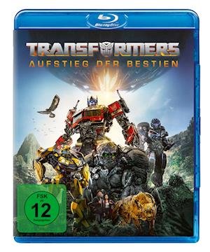 Cover for Dominique Fishback Anthony Ramos · Transformers: Aufstieg Der Bestien (Blu-ray) (2023)